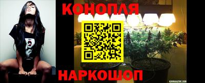 спиды Ижевск