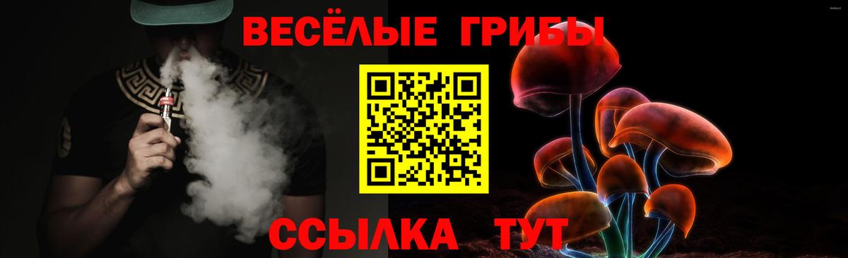 Псилоцибиновые грибы Psilocybe  Вход с VPN  Щёлково  сколько стоит  Псилоцибиновые грибы Cubensis 
